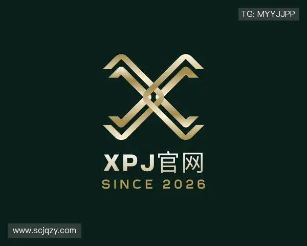 解读xpj官网官网