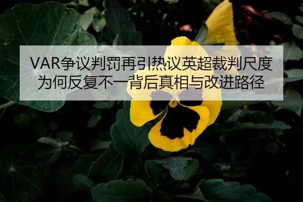 VAR争议判罚再引热议英超裁判尺度为何反复不一背后真相与改进路径