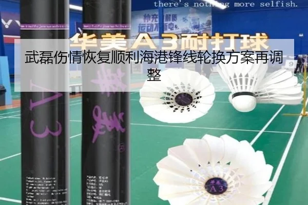 武磊伤情恢复顺利海港锋线轮换方案再调整